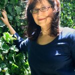 Lynn_Levin