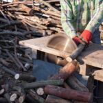 A person in red gloves cuts firewood on a circular table saw beside a pile of branches.